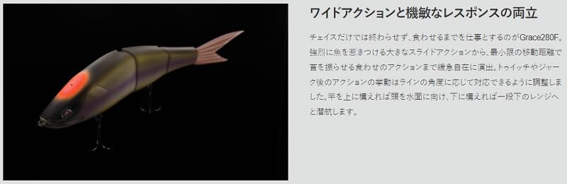 Amazon.co.jp: Galápagos（ガラパゴス） グレイス 280F (#15 マット